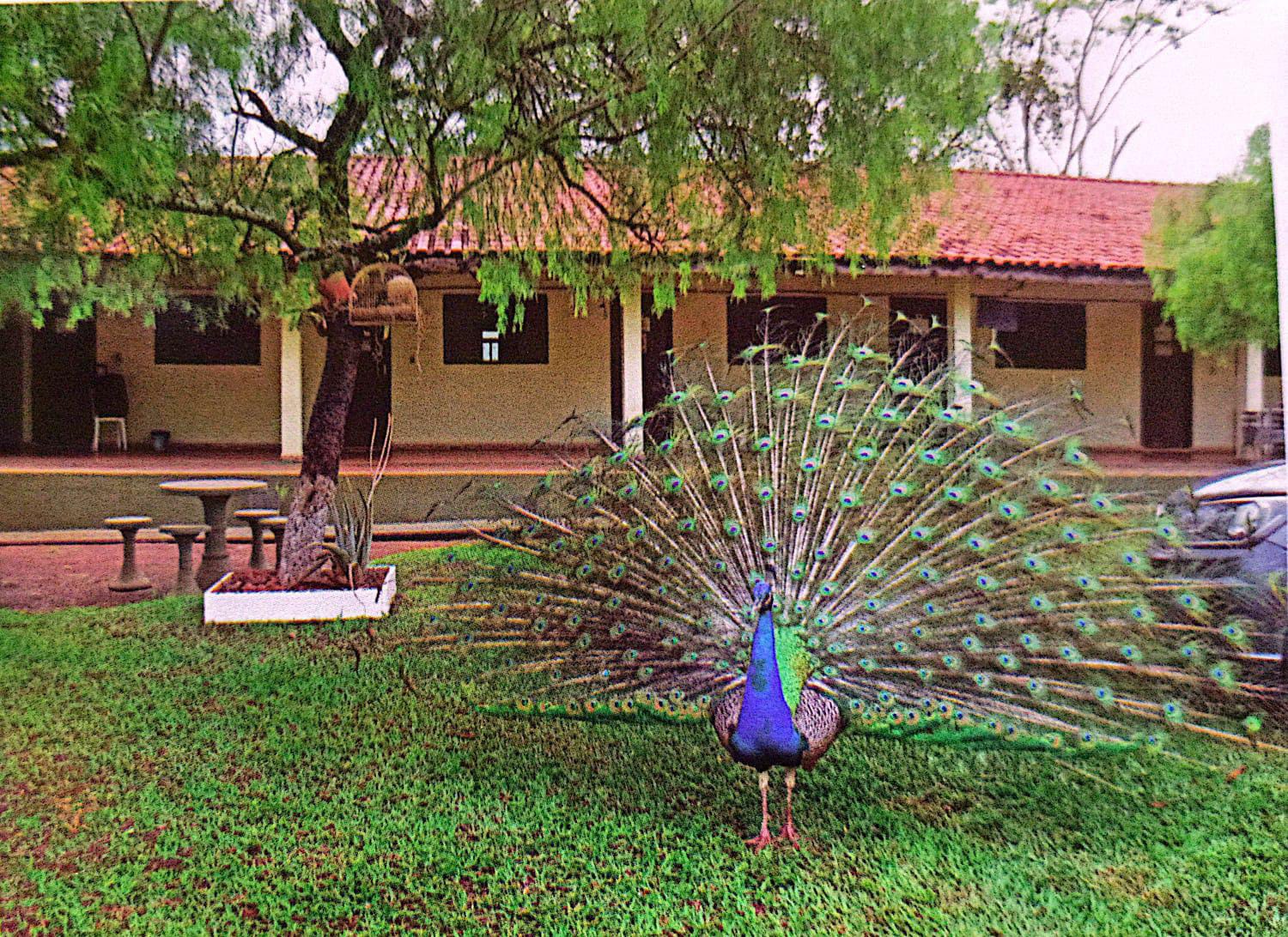 WhatsApp Image 2025-05-13 at 13.06.34